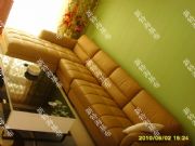 ���غ�����|���w�ڲ�|ֲ�q�������ڲ�