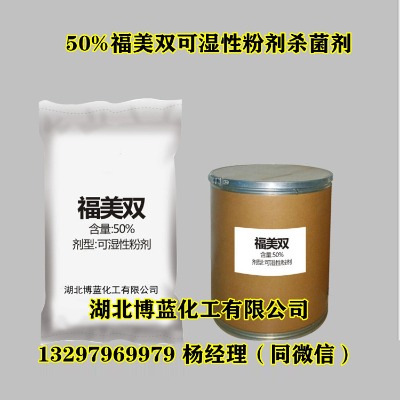 50�������p�ɝ��Էۄ����������a�S��