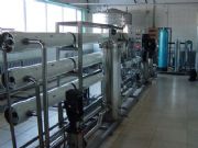 ���B͸�O���r