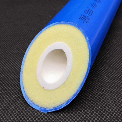 �����t�{ppr�۰������ع�