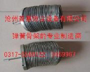 �������ɹǼ�(�D)