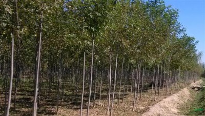 ��3���ֱ���r��3���ֱ������l(f��)3���ֱ�������