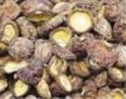 干草菇 干香菇 干蘑菇 金針菇