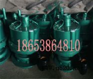 �V���L�ӱ���ɽ�|�V�ñÌ��u(�D)