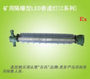 �����V��LED�������LED���������