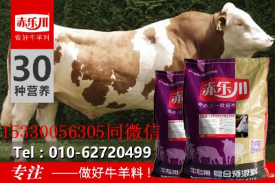 ţ��ʲô��Ͽ��Կ���������ţ�A����