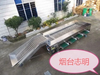 加工土豆紅薯的果蔬調速選果分級機報價