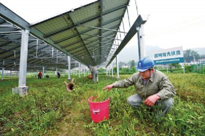 �r�⻥�a����l��Ŀ�Gɫ�h��