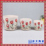 �մɴ�С�������l(f��) �����(zh��n)�մɻ����׼�����(y��ng)