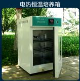 늟������B(y��ng)��