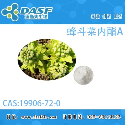 �䶷�˃�(n��i)��a