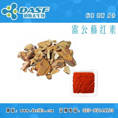 �׹��ټt��