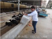 ���ҿ��к��^�Ų���N��r��