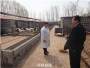 �����ӱ�ʡ�＾�Bֳ�Ų����ע����헣��Ų��d���r