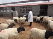 ��ɫ�жŲ���N��r��