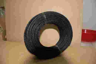 �V�|�����w�S��11�ȏ��S��