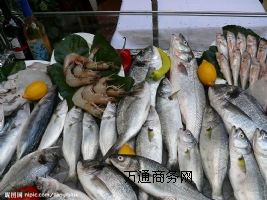 ��ԃ���r�M�����P�r�����uƴ���M�ڴ���