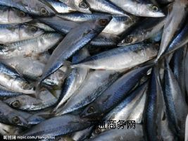 �M�ں��rͨ�P(gu��n)��z�������uƴ���M�ڴ���