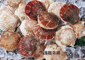 ���r�M�ڴ�����P��z���uƴ���M�ڴ���