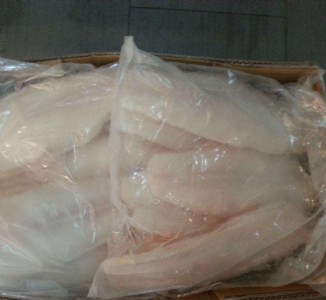 代理操作正規(guī)進(jìn)口清關(guān)巴沙魚(yú)柳