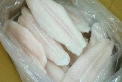 青島水產品進口報關代理服務