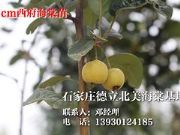 �rλ�����ı�������������|�����ӱ��N���ѵı�������������