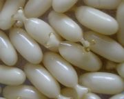 ����(y��ng)���}ܛ�z�Ҽӹ�(�D)