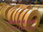 1095�ߏ����i䓎����߾��܏���䓰�