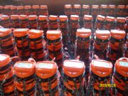 �F؛ֱ�l�������J �����������J 朗l�������J���]