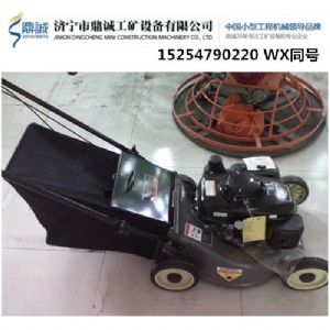 鼎誠供應小型手推式割草機環保自行草坪修剪機價格