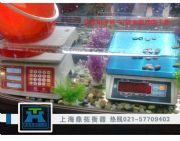 ����6kg��ˮ����,ȫ���P䓷�ˮ��ӳ�,��ˮ�����ó�