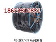 PE-ZKW/816�V������ ���ܽ��^ ú�V���܃r��