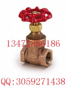 �_��317�~�l�ybg-p42