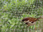 ���B�W(w��ng)���a(ch��n)�O(sh��)��