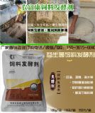 �������_�τ�����ι��؂��ϰl�̈́��ۃr���a�S��