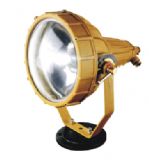 sbd3110  ����Ͷ���