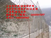 �����������ӷ��o�W�S��+߅��W+sns���Ԕrʯ�W