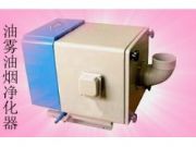 ����FT-Y�C�����F������