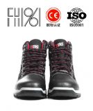 �Ўͱ�ů�ڱ�Ьfh15-1207�޿�