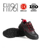 �¿�^����ȫЬ�^���ڱ�Ьfh16-0324