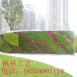 �S�Ҷ��Ʒ���ֲ�