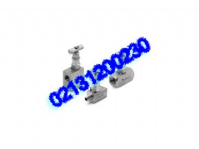 �����������Swagelok����y �Ϻ��������