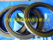 TB�͹Ǽ��ͷ�|�������ǹ���(y��ng)