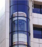 �����^�����(�D)