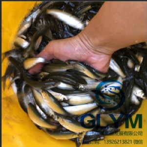 ���V�݇�(gu��)(li��n)�~�硿���I(y��)��(y��u)�|(zh��)�~������V