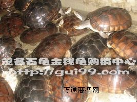 ����3-5��ʯ���X������