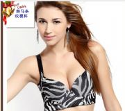 內(nèi)衣批發(fā)性感內(nèi)衣批發(fā)調(diào)整型文胸批