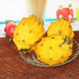 �炐�ȁ��M����C�����ڈ��P(gu��n)����