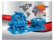 ����SKϵ��ˮ�hʽ��ձ�(�D)