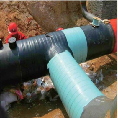 �����;�ϩ�Nճ���w�Ᵽ�o��